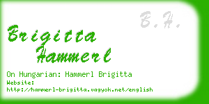 brigitta hammerl business card